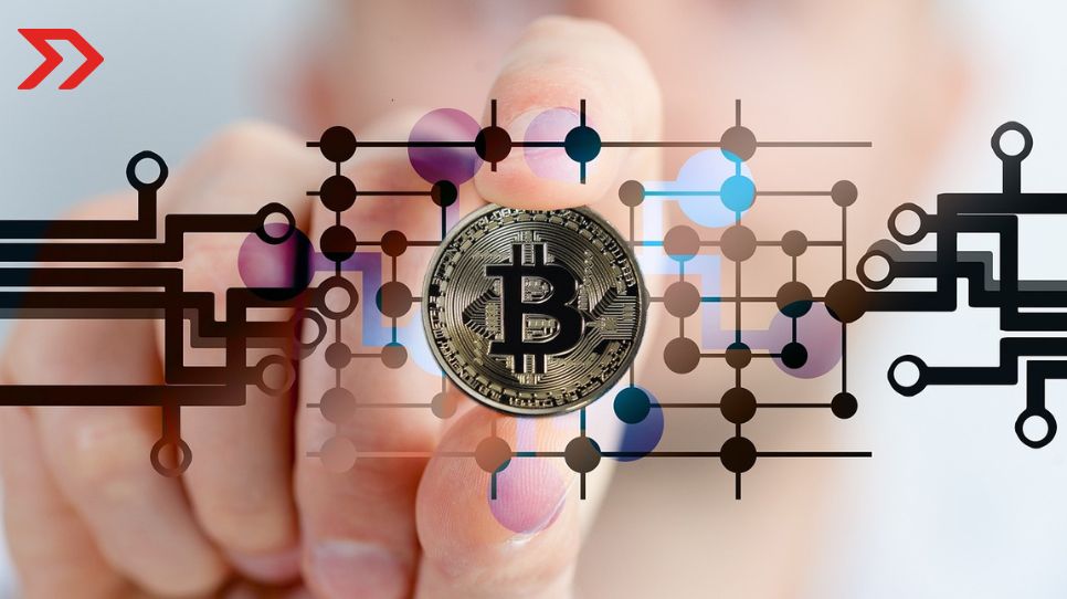 Expresidente de PayPal quiere convertir al Bitcoin en una red global de pagos David Marcus, expresidente de PayPal, ve en el Bitcoin una vía para crear un protocolo universal de las transacciones digitales