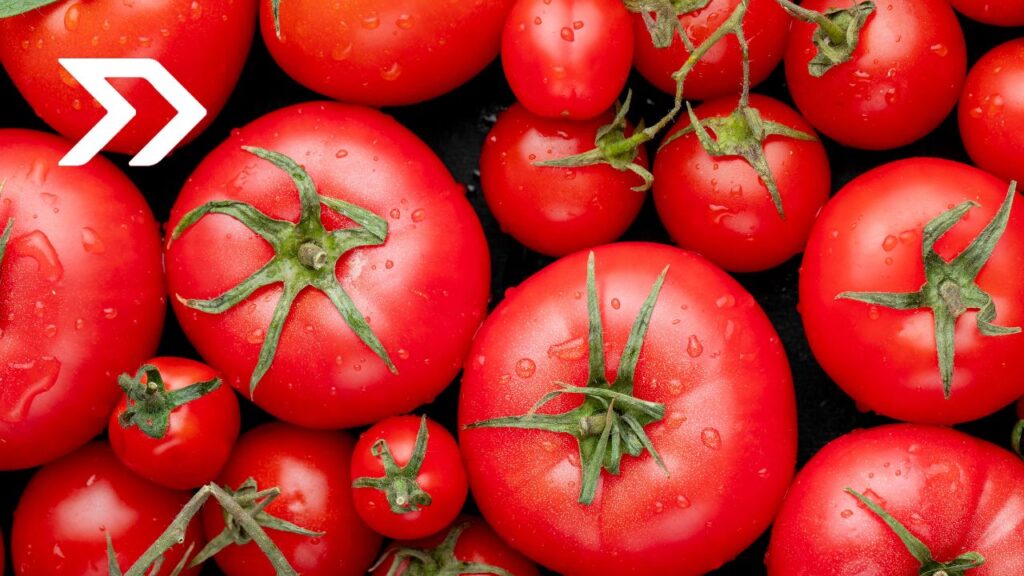 México rechaza arancel del 17.09% al jitomate y buscará nuevo acuerdo con Estados Unidos