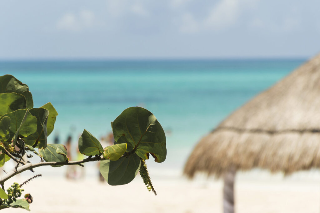 Tulum enfrenta una crisis turística en 2025: factores y perspectivas