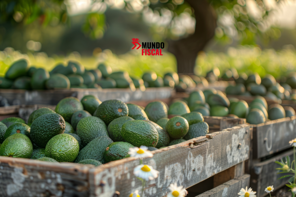 México lidera las exportaciones de aguacate, aunque la caída de precios y nuevos retos regulatorios reducen la rentabilidad del sector.